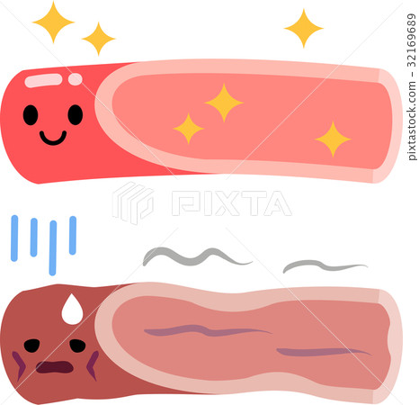 健康的血管和老年血管 32169689