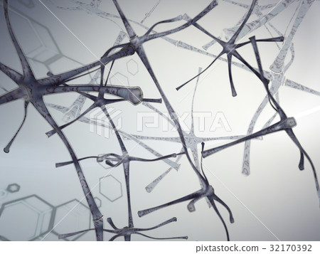 Nerve cell 32170392