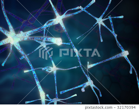 Nerve cell Nerve cell 32170394