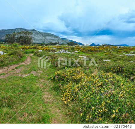 Summer blossoming hill. 32170442