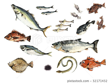 Seafood set Seafood set 32171432