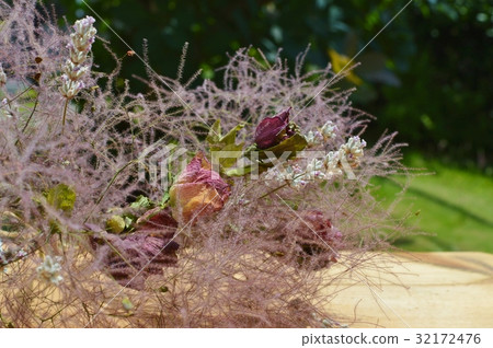 Dry flower arrangement of smoke tree Dry flower arrangement of smoke tree 32172476