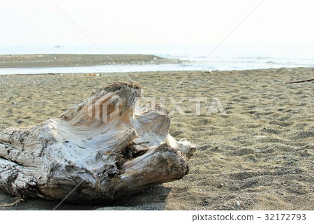 漂流木駿河灣 漂流木駿河灣 32172793