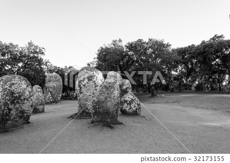 Menhirs in a cromlech close to Evora in Portugal 32173155