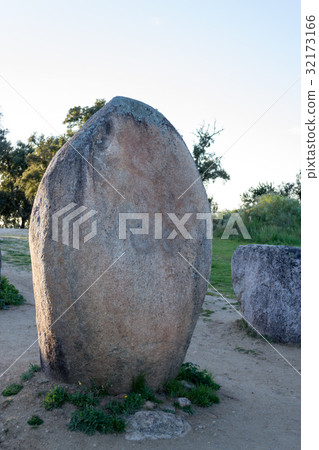 Menhirs in a cromlech close to Evora in Portugal Menhirs in a cromlech close to Evora in Portugal 32173166