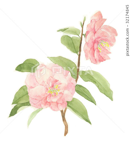 Tsubaki 18 Double-Flores 32174845