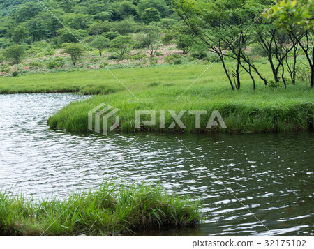 Green lush Wenchibuchi Green lush Wenchibuchi 32175102