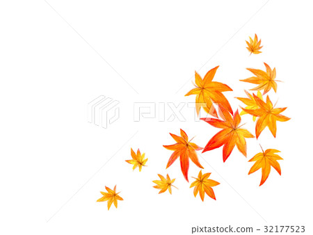 Illustration Autumn leaves 32177523