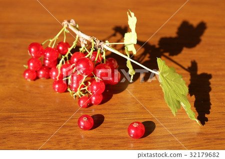 Fruit fruit fruit 32179682