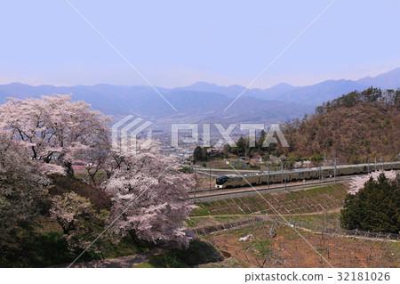 Luxury train running in spring color Kofu basin Shikisai Island 32181026