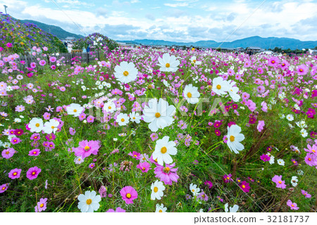  宇宙領域 32181737