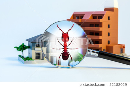 Pest control Pest control 32182029