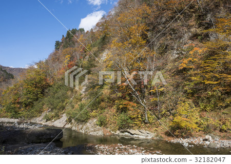 金水深處的花谷 金水深處的花谷 32182047
