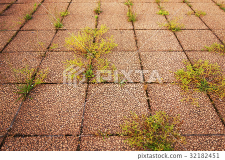 Aged deterioration of pavement Weeds palped ground 32182451