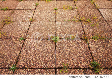 Aged deterioration of pavement Weeds palped ground 32182452