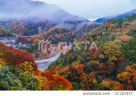 Mori autumn leaves Michi 32182937