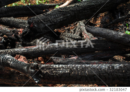 A piece of wood burned like an abstract background 32183047