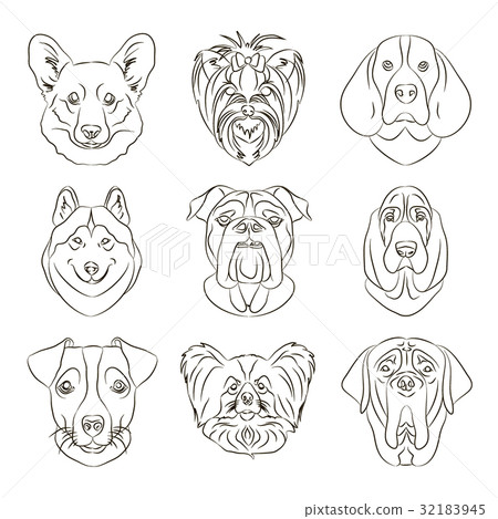 Vector illustration of different dogs breed 32183945
