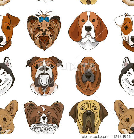 Vector illustration of different dogs breed 32183946