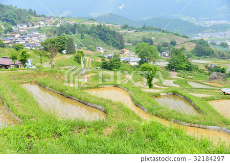 2017 rice terrace in early summer 32184297
