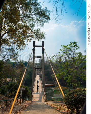 big trees around Sai Yok Yai waterfall. big trees around Sai Yok Yai waterfall. 32184979