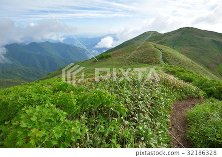 Ridge heading from Mount Mountain to Sennokurakuyama and mountain trail 32186328