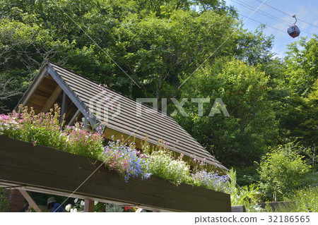 Kuroda Herb Garden Kuroda Herb Garden 32186565