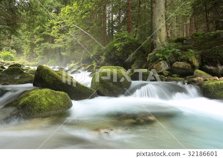 Forest stream, Tatra National Park in Poland Forest stream, Tatra National Park in Poland 32186601