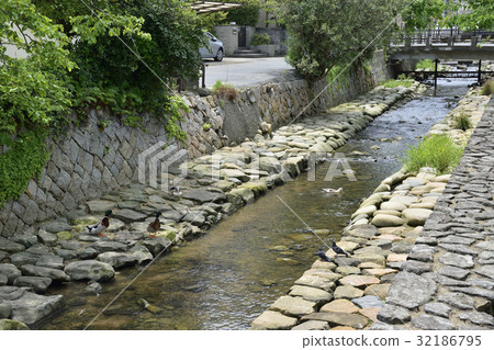 Odaibikawa Nagafu 32186795