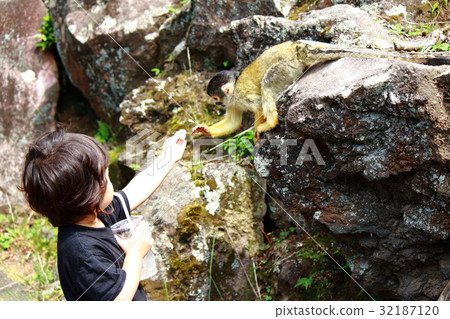 Contact squirrel without touching 32187120