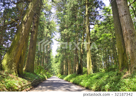 Suginami tree of sunlight 32187342