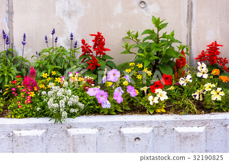 花壇 花壇 32190825