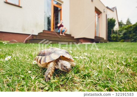 Life with domestic animals Life with domestic animals 32191583