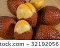 Salacca zalacca 32192056