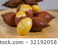 Salacca zalacca 32192058