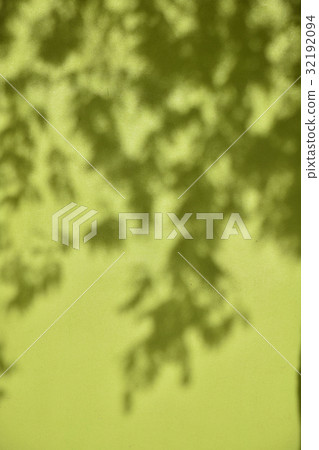 Green wall with shadow of leaves 32192094