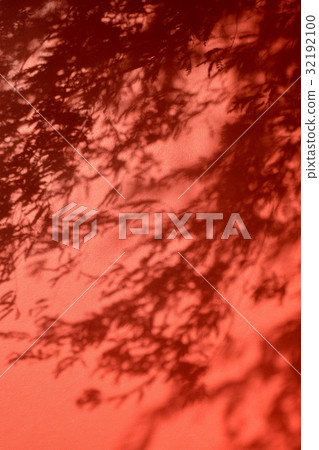 Beautiful shadow of leave on red wall 32192100
