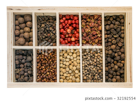 Pepper Seeds or Peppercorns 32192554
