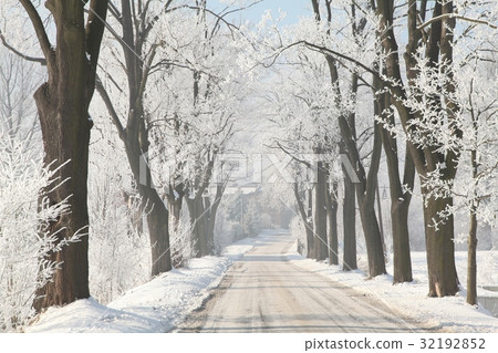 Winter country road among frosted maple trees Winter country road among frosted maple trees 32192852