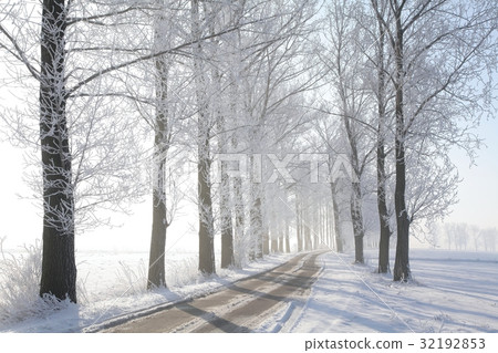 Winter rural road among frosted trees Winter rural road among frosted trees 32192853