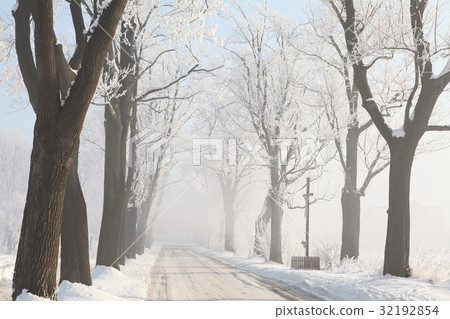 Country road among frosted trees in winter morning Country road among frosted trees in winter morning 32192854