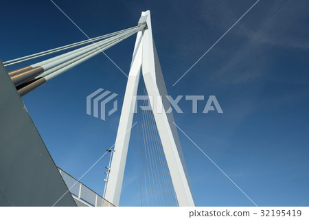 Rotterdam city cityscape  32195419