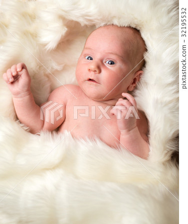 newborn baby boy in a white blanket newborn baby boy in a white blanket 32195532