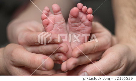 Cute baby legs in the parents hands Cute baby legs in the parents hands 32195539