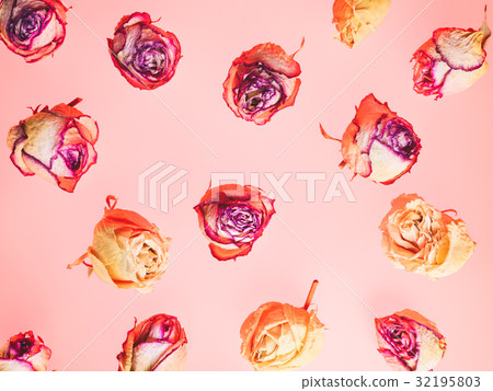 Decoration of dried rose flowers. Roses background 32195803