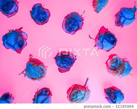 Decoration of dried rose flowers. Roses background Decoration of dried rose flowers. Roses background 32195804