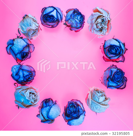 Decoration of dried rose flowers. Roses background Decoration of dried rose flowers. Roses background 32195805