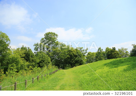 summer park summer park 32196101