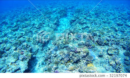 Coral reef underwater photograph of Okinawa Akajima Coral reef underwater photograph of Okinawa Akajima 32197074