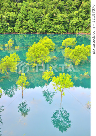 新鮮的綠色秋天愛好者湖 新鮮的綠色秋天愛好者湖 32197076